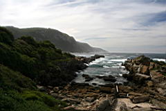 0401 Tsitsikamma Gorge IMG_3237.JPG